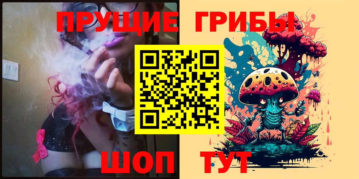 Галлюциногенные грибы мицелий Губкинский