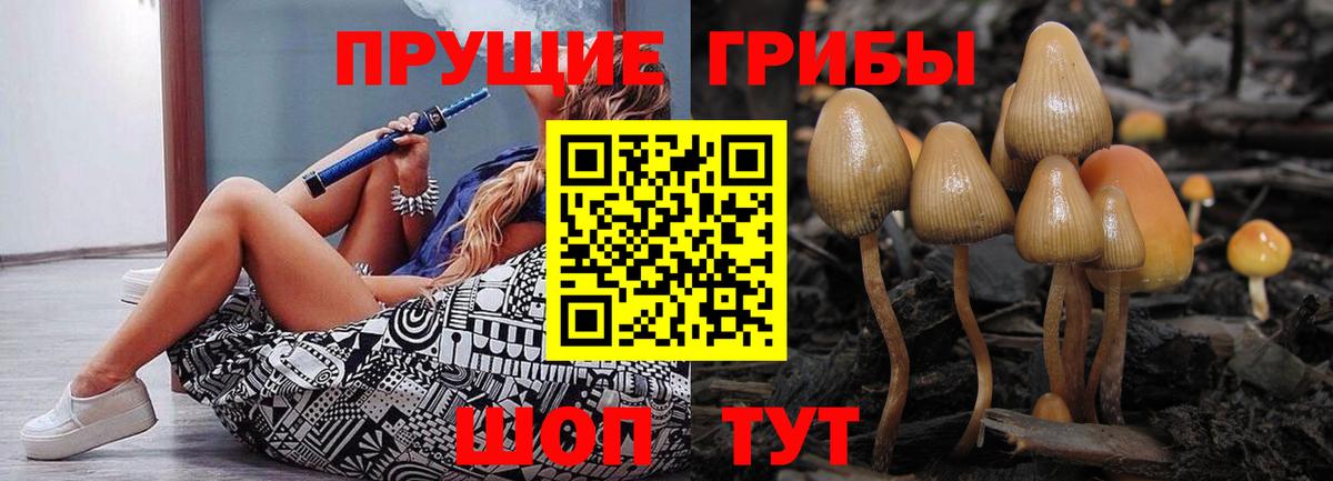 Губкинский  где найти   Галлюциногенные грибы ЛСД  Вход с VPN  Галлюциногенные грибы GOLDEN TEACHER 