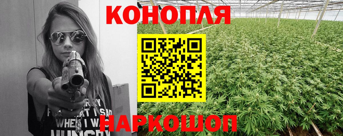 Бошки марихуана план  Конопля SATIVA & INDICA  Вход с VPN  Губкинский 